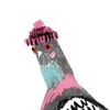 profile-image