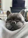 profile-image
